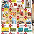 Antevisão Folheto PINGO DOCE Lojas Grandes Promoções de 19 a 25 janeiro